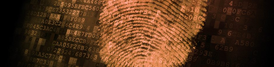Computer crime defense lawyer in Los Angeles